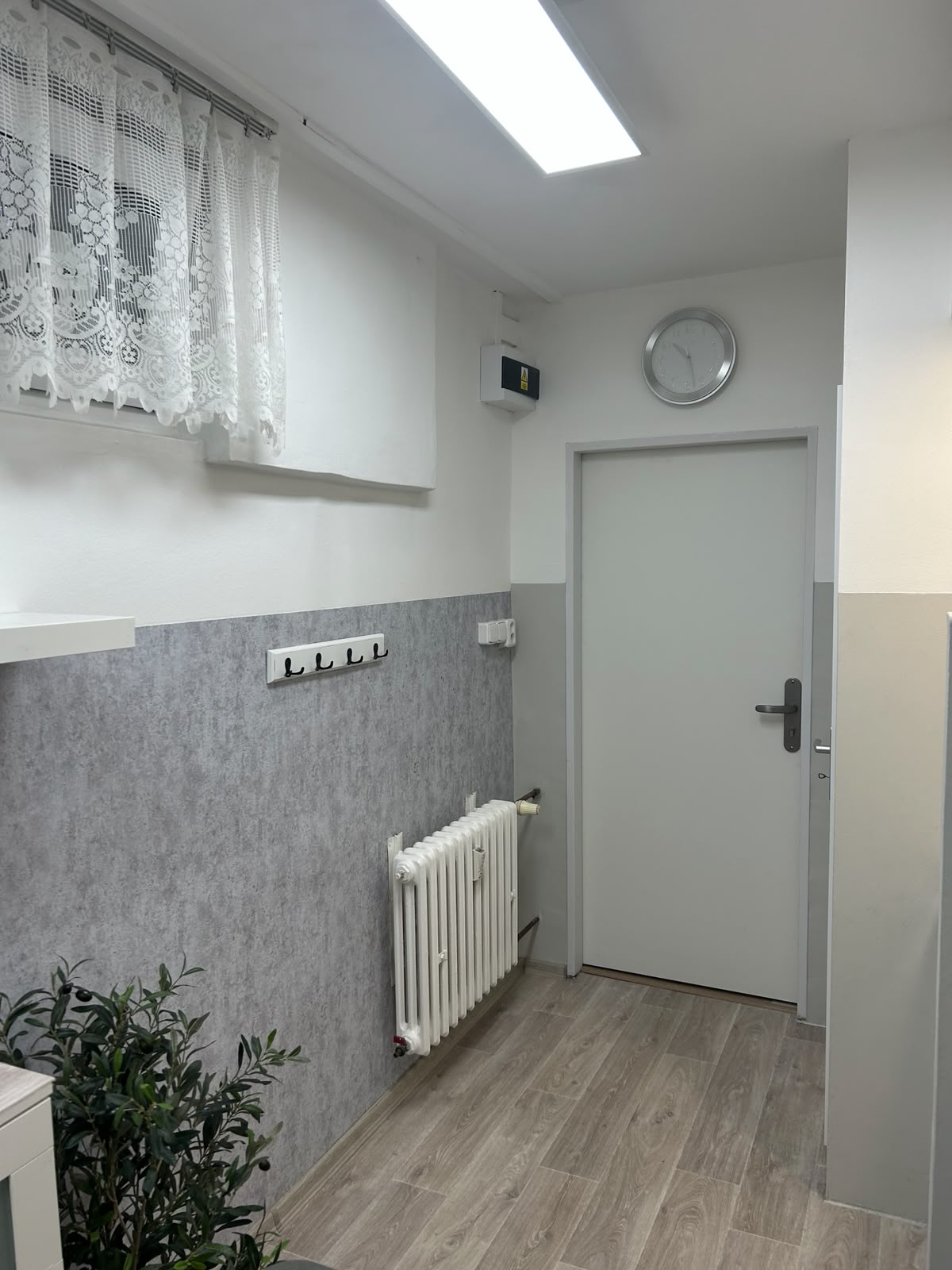 Psí salon LUCI - 8
